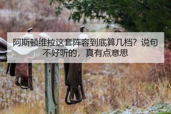 阿斯顿维拉这套阵容到底算几档？说句不好听的，真有点意思