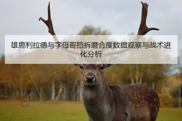 雄鹿利拉德与字母哥挡拆磨合度数据观察与战术进化分析 - kaiyun